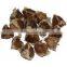 Moringa Olifera seeds