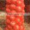 Mesh fruit packaging bag/vegetable fruit mesh bag wholesale