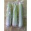 Vegetable packaging machine/ Cabbage Wrapper machine