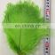 30cm Colorful Ostrich Feather For Wedding Dress 2015