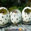 KAWAH Amusement Park Emulational Hatching Dinosaur Egg