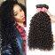 No Damage Curly Human Tangle Free Hair Wigs Visibly Bold