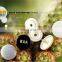 KAM High Quality / Fashion / Snap Buttons Manufacturer /Snap Fastener Button