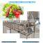 Hot sale bubble fruit washing machine/Spray washer