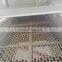 Almond hulling machine/almond sheller/almond dehulling machine