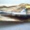 factory direct sales ISF3.8 5283275 injector for engines