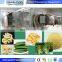 Industrial vacuum freeze drying equipment vacuum dryer fruit