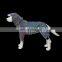HOT SALE Large Dog Clothes Dog Rain Coat Dog Rain Jackets Waterproof Reflective