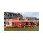 Inflatable Tiger Bouncy Castle Bounce House Commercial Obstacle Course For Kids
