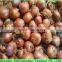 New Crop Wanted Pearl Fresh Shallot Onions/Mao Onions