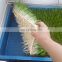 Commercial hydroponic fodder trays for wholesale