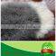 TOP QUALITY CURLY FUR TIBETAN LAMB SKIN RUG