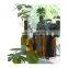 Suction Cup Shelf for Plants Window Bathroom or Kitchen Live Plant Shelves for Indoor Garden