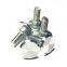 304 stainless steel large flat head CD decorative screw