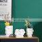Nordic Creative Abstract Pure White Face Flower Pot Ceramic Face Vase For Home Decor