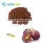High Quality Edible Natural Pigment Grape Seed Extract Powder (95% Opc)
