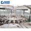 Automatic 0.2 - 2L mineral water filling machine / bottling line