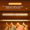Led Body Sensor Light Wardrobe Wine Cabinet Shoe Cabinet Light Sensor Night Light