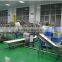 Hot Sale New Type Large Automatical Lemon Plum Washing Machine