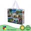 High End Fabric Shopping 100G Nonwoven Bag