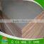 Shandong Shouguang Best Quality Green Plywood to UAE and Africa Market