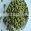 2014 Pumpkin Seed Kernels for Oil