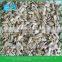 Hulled Sun flower seed Kernels Confectionary Grade