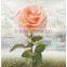3d pictures with 4 images flip change effect of beautiful flowers