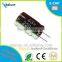 High Quality Aluminum Electrolytic Capacitor E-cap 220uf