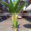 Popular high quality low cost artificial banana tree for indoor decoration