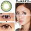 cheap hotsale GEO WT-B74 brown cosmetic contact lens made by GEO Medical