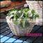 oval willow basket with handle