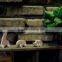 wooden animal handmade home wall decoration