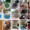 BSCI Pet Factory Multy Color High Quality Corrugated Cardboard Cat Scratcher Toy