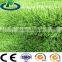 CE,SGS passed football field synthetic grass carpet