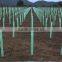 PP Corrugated Plastic Tree Tubes