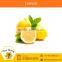 Fresh Yellow/Green Lemons for Food Flavouring from Industry's Best Supplier