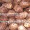 Best Quality of Fresh Shandong Taro