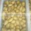 Fresh potato price per ton