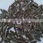 chinese cheap 5009 sunflower seed