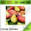 raw organic cocoa powder manufacturers
