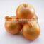Wholesale Price of Fresh Red/Yellow/White Onions 2016 Crop