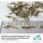 Wholesale dried salted anchovy