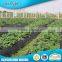 Hot Sale High Quality Black Plastic Agriculture Mulch Film