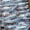 Blue Swimming Crab For Sale