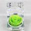 High Quality Natural Wholesale Preserved Flower Roses Flower Never Fade