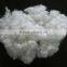 Pure virgin HCS-hollow conjugated silicon fiber