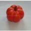 Artificial pumpkin,Artificial vegetable