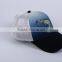 Hot Sale Custom Logo Printing Embroidery Cap
