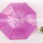 eco-friendly rose handle bottle umbrella